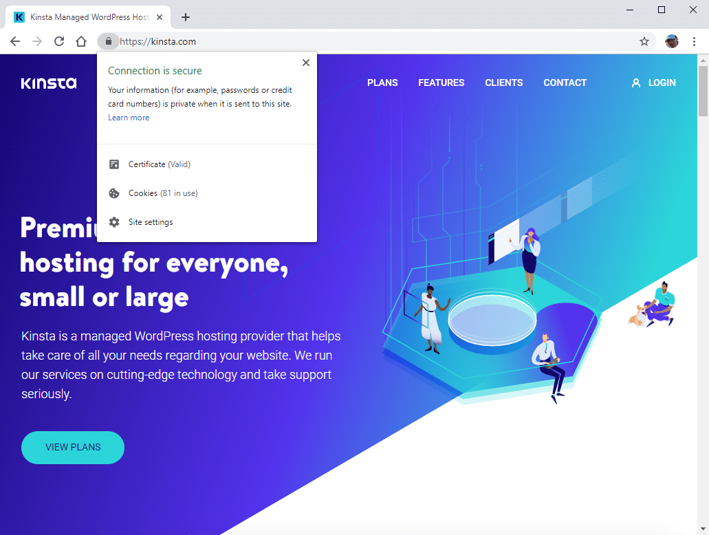 Il sito di Kinsta mostrato sul browser: nella barra dell’URL compare il lucchetto del collegamento sicuro