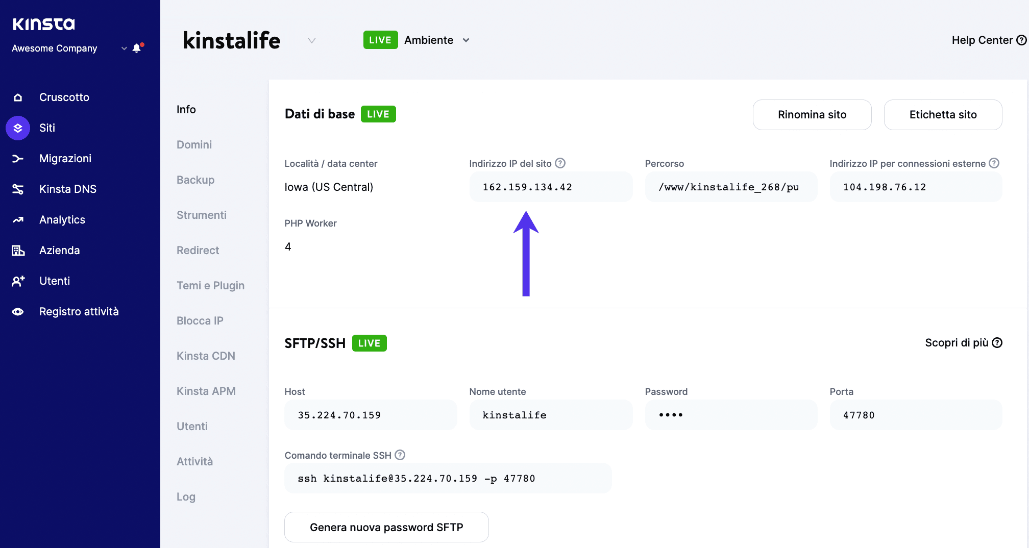 L’indirizzo IP è nella scheda Info di MyKinsta