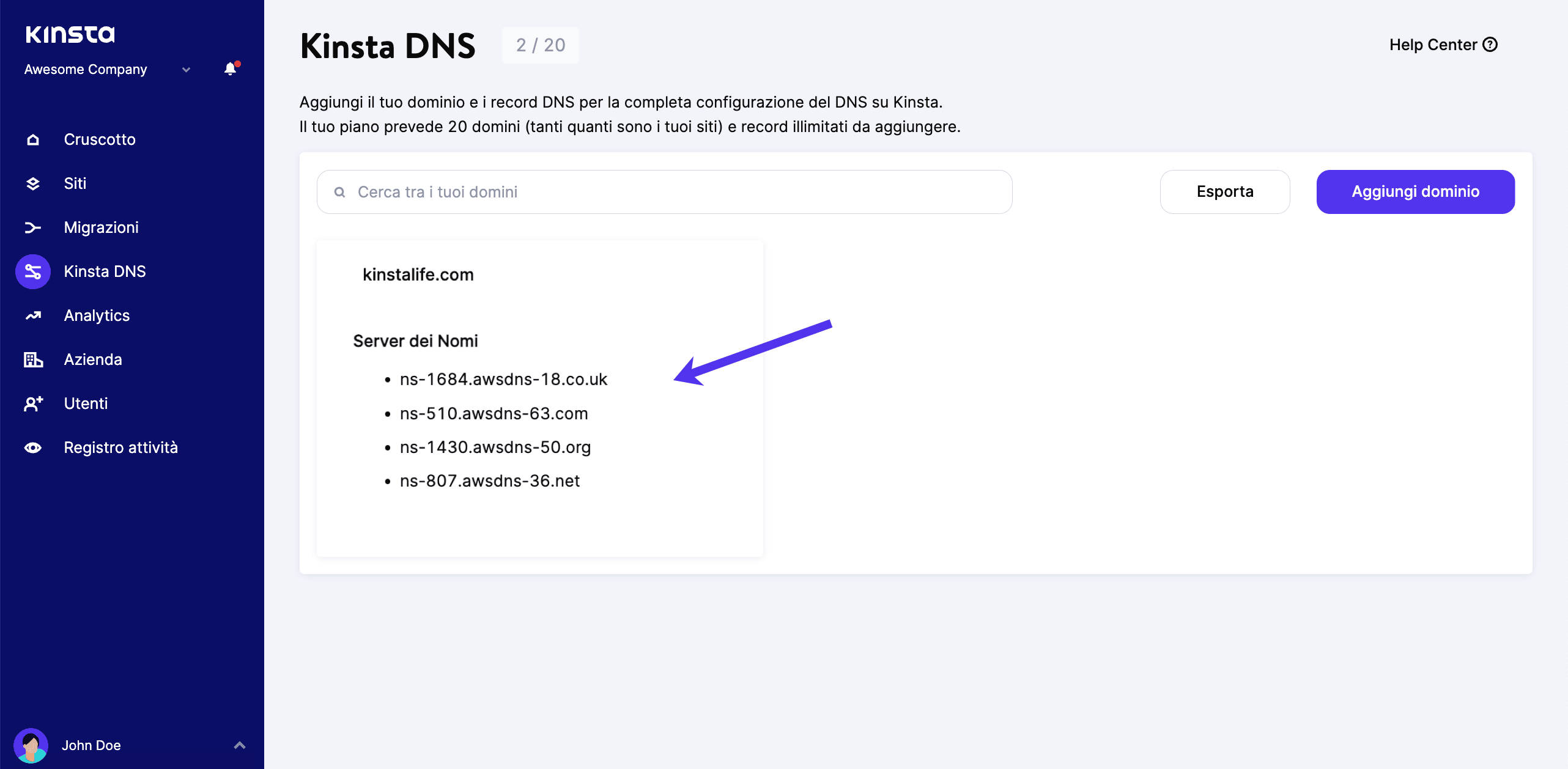 Vista DNS Kinsta - server dei nomi