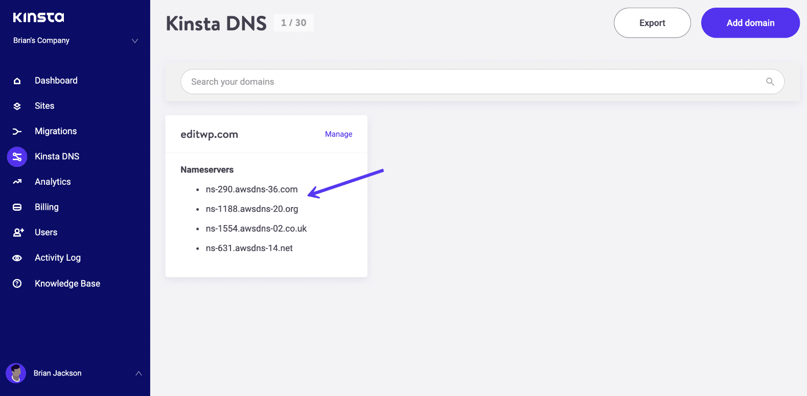 Vista DNS Kinsta - server dei nomi