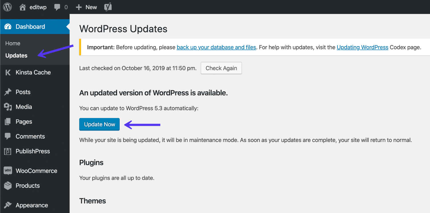 Aggiornare a WordPress 5.3 nella dashboard