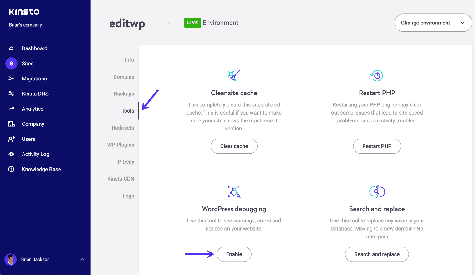 Tool WP_DEBUG in MyKinsta