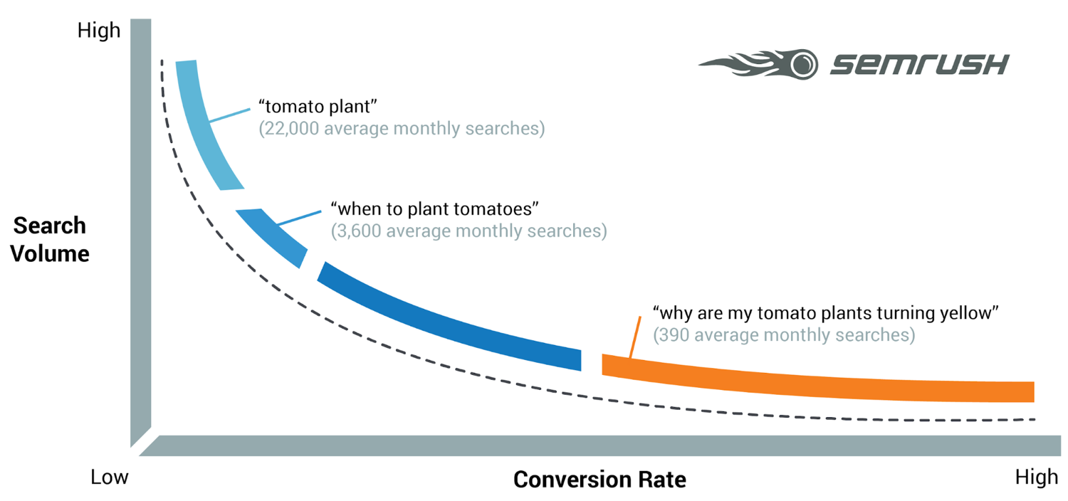 Parole chiave a coda lunga = più conversioni (Fonte immagine: semrush.com)