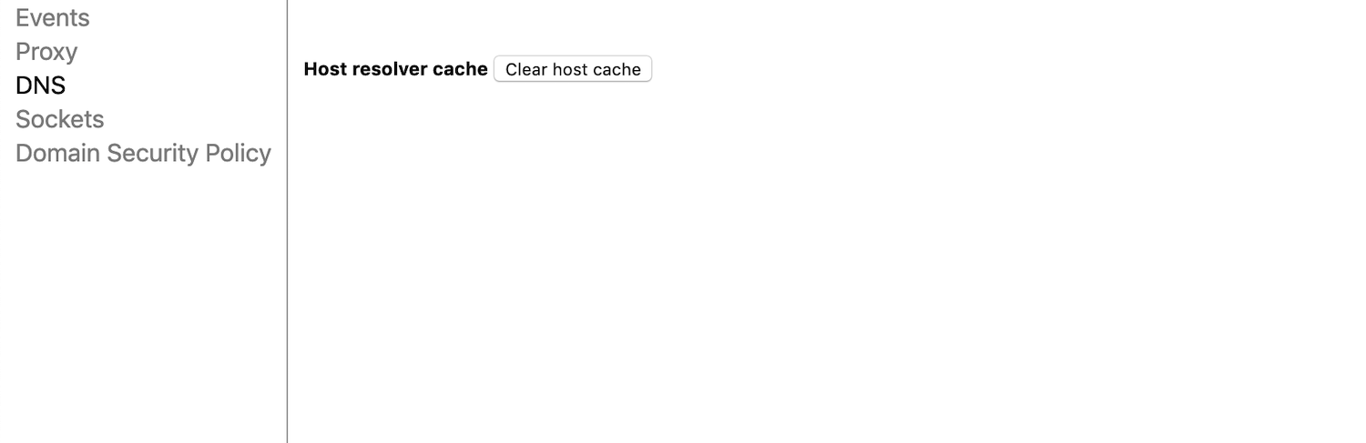 Il pulsante Clear host cache in Google Chrome