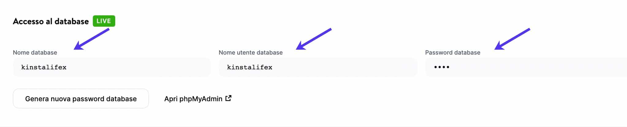 Accesso al database in MyKinsta