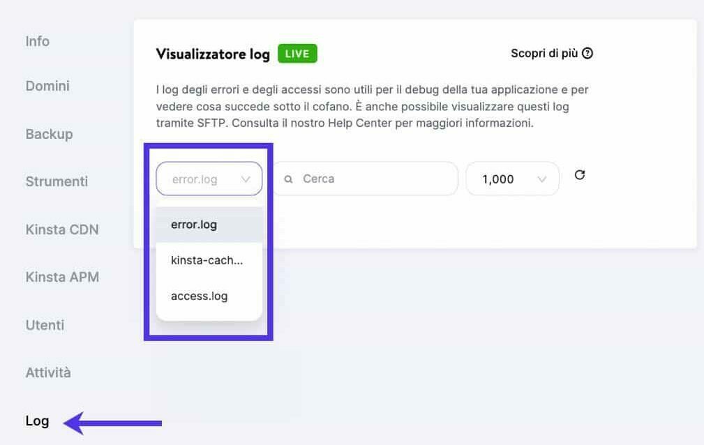 Log Viewer di MyKinsta