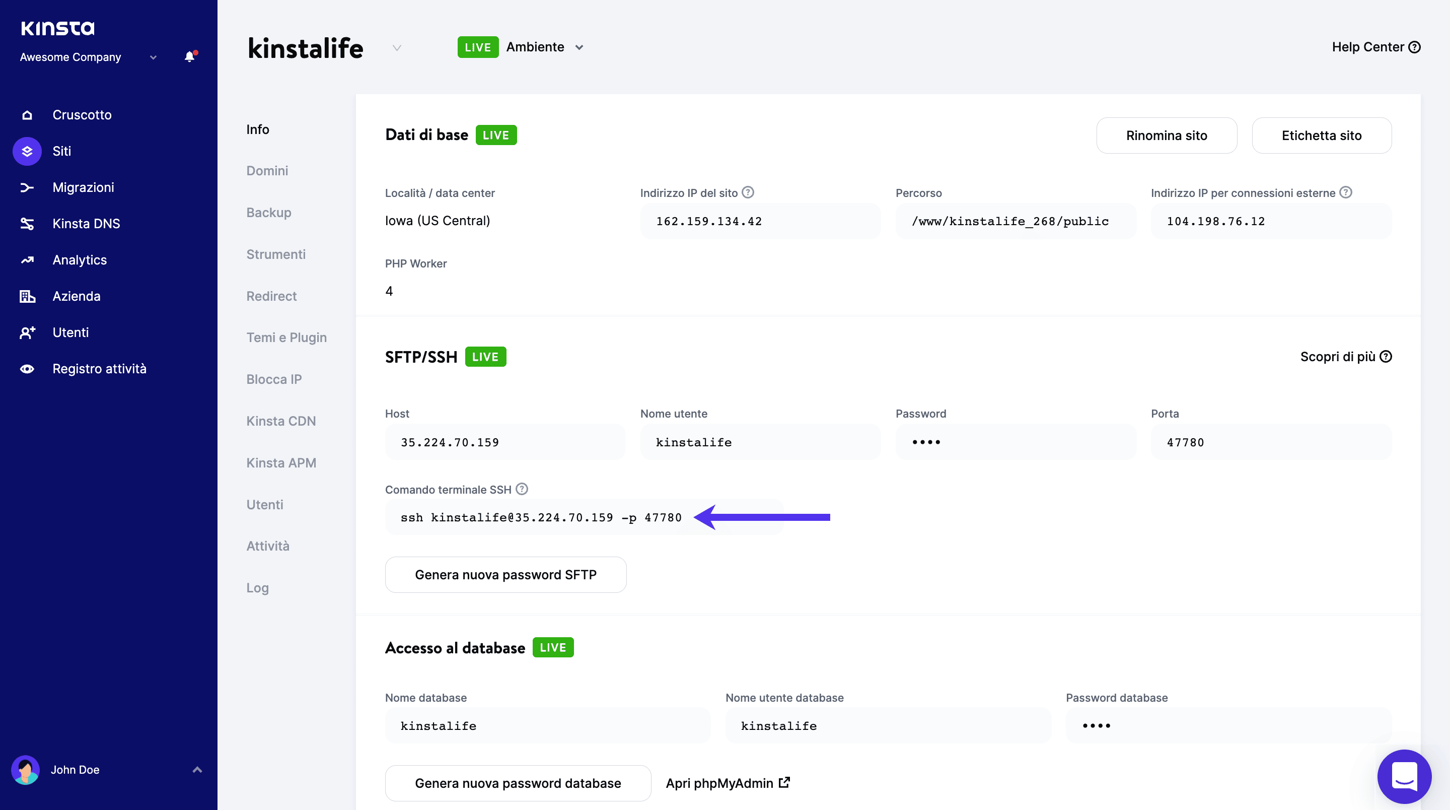 Comando terminale SSH in MyKinsta.