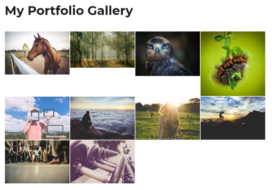 Responsive Lightbox & Gallery