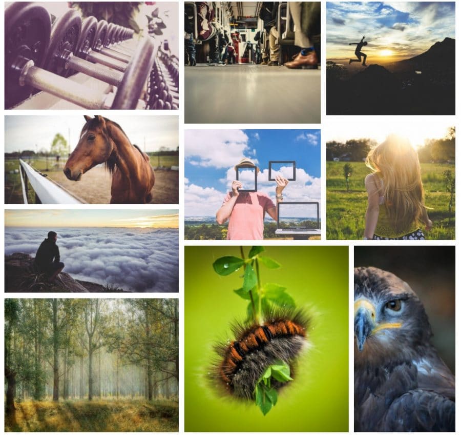 Plugin WordPress per la Photo Gallery Modula