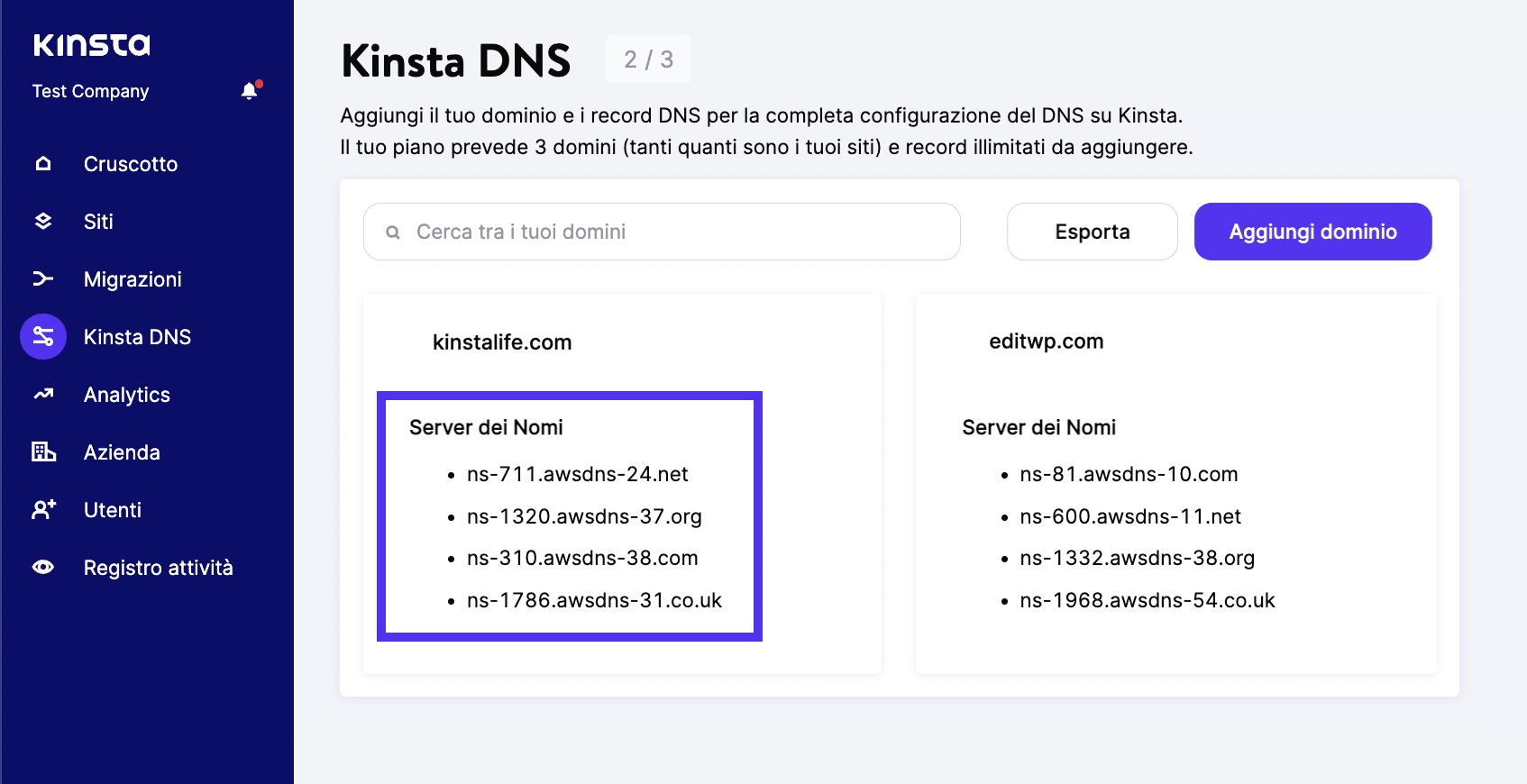 Server dei nomi del DNS di Kinsta