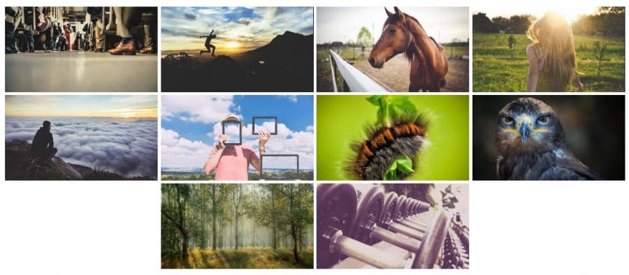 WordPress photo gallery plugins: Photo Gallery by 10Web