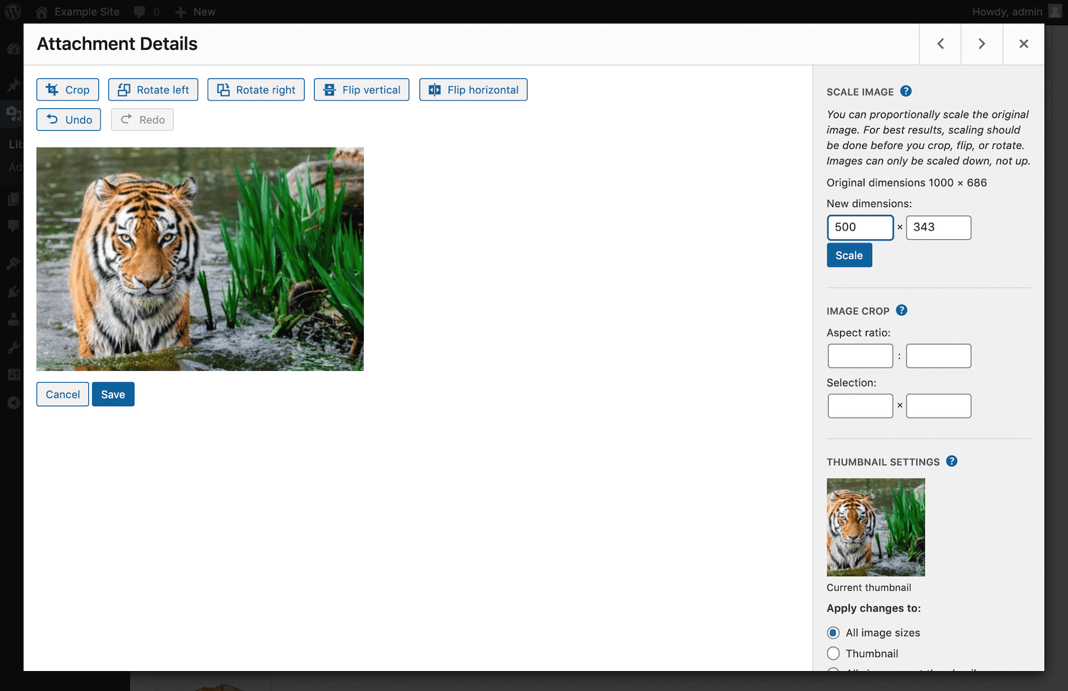 Scalare un'immagine in WordPress