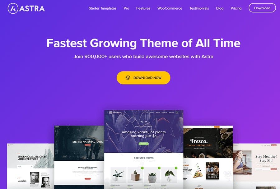 Astra WP - fastest WordPress theme
