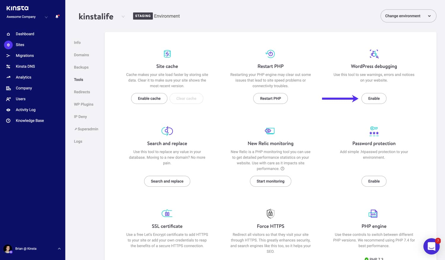 Attivare la modalità di debug di WordPress in MyKinsta.