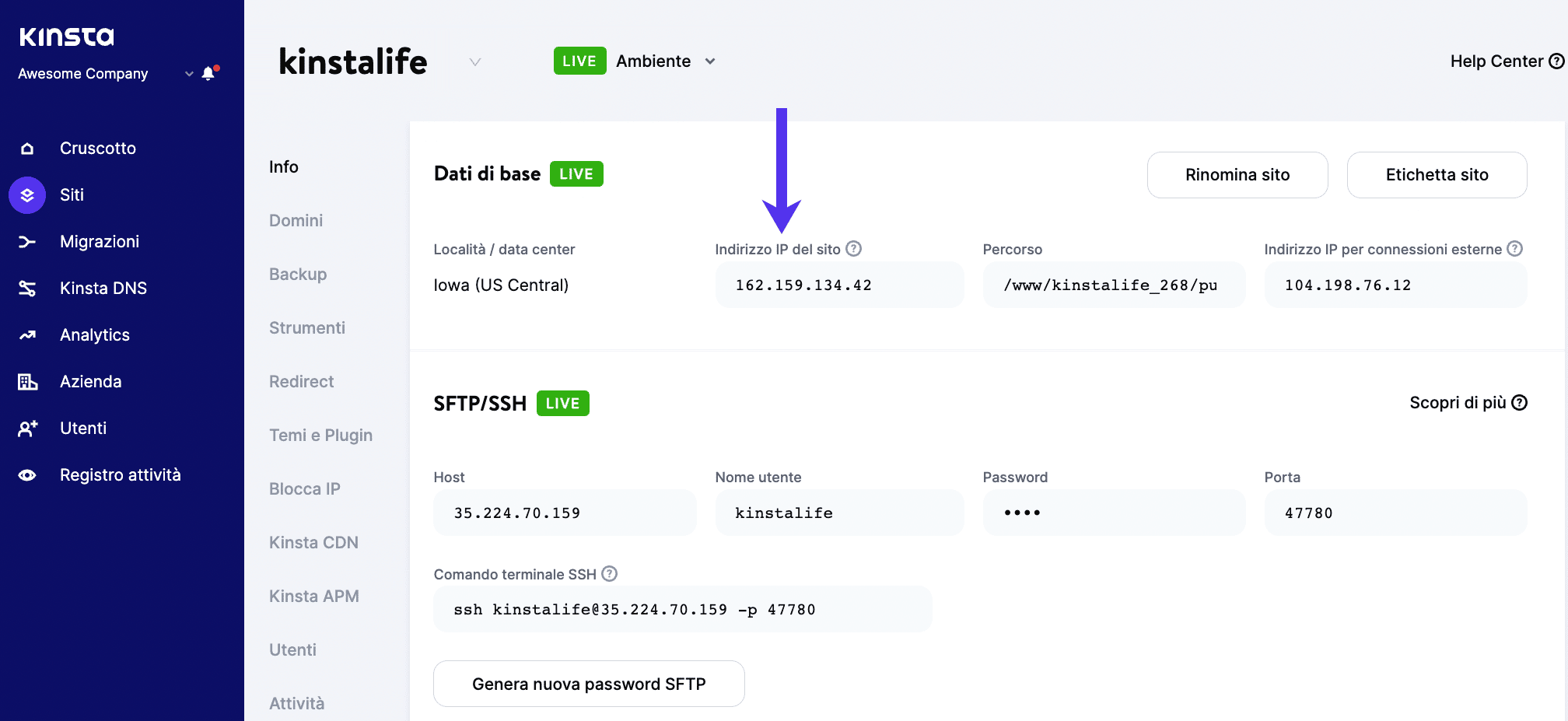 Indirizzo IP del sito di Kinsta (A record).