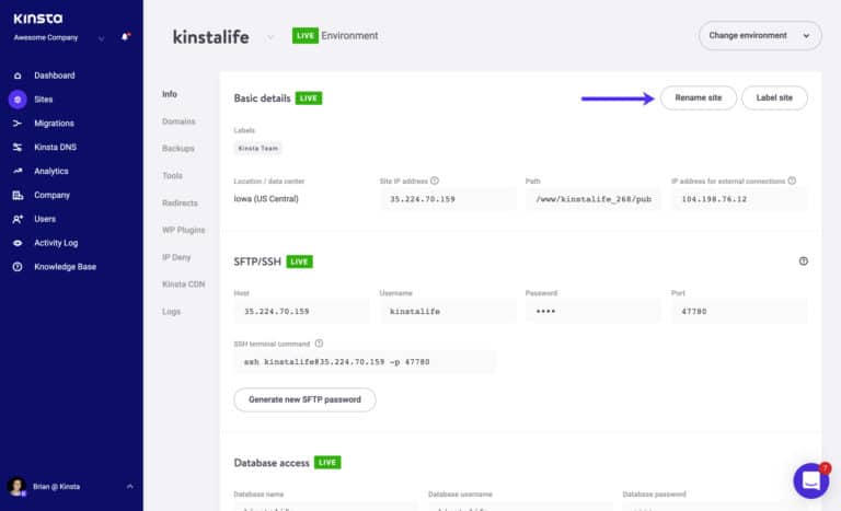 Rinominare un sito WordPress su Kinsta.