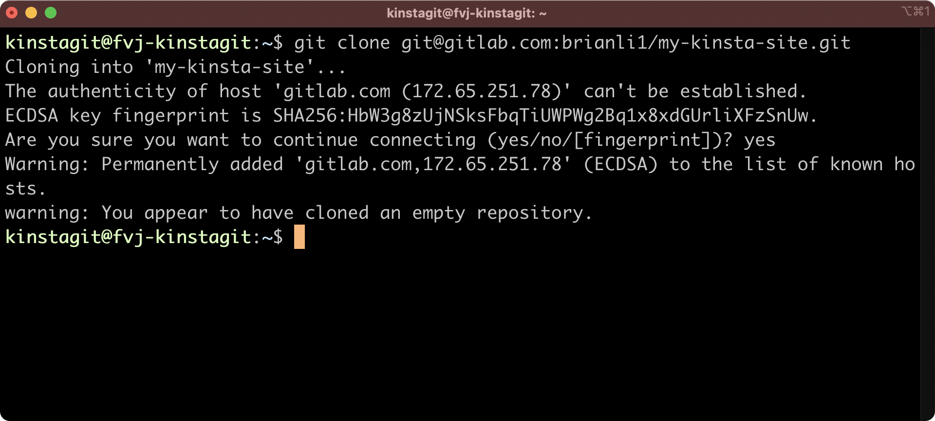 Clonate il vostro repository GitLab nel vostro ambiente live Kinsta.