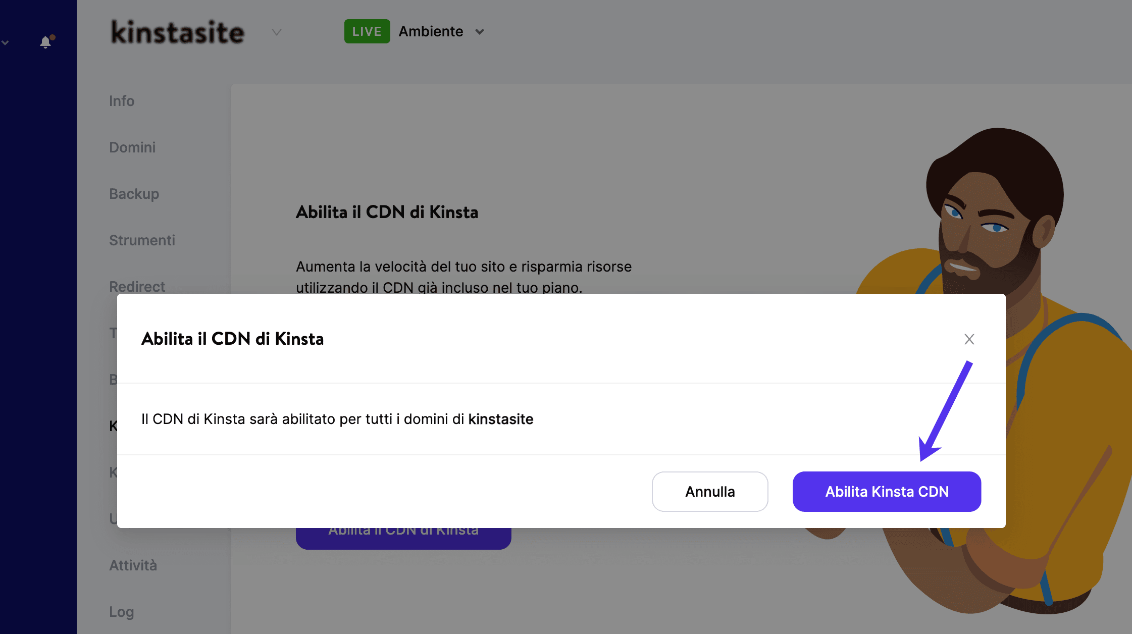 Abilitare Kinsta CDN