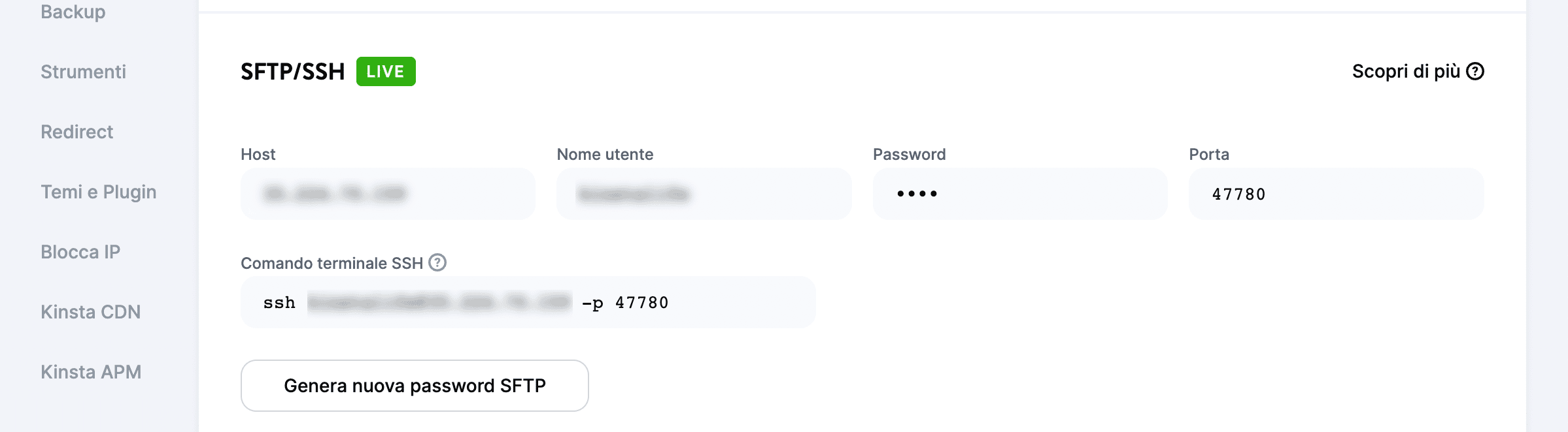 Il pannello SFTP nella dashboard di MyKinsta.