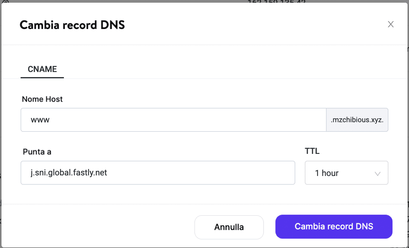 Puntando il CNAME www del tuo dominio a Fastly in DNS di Kinsta.