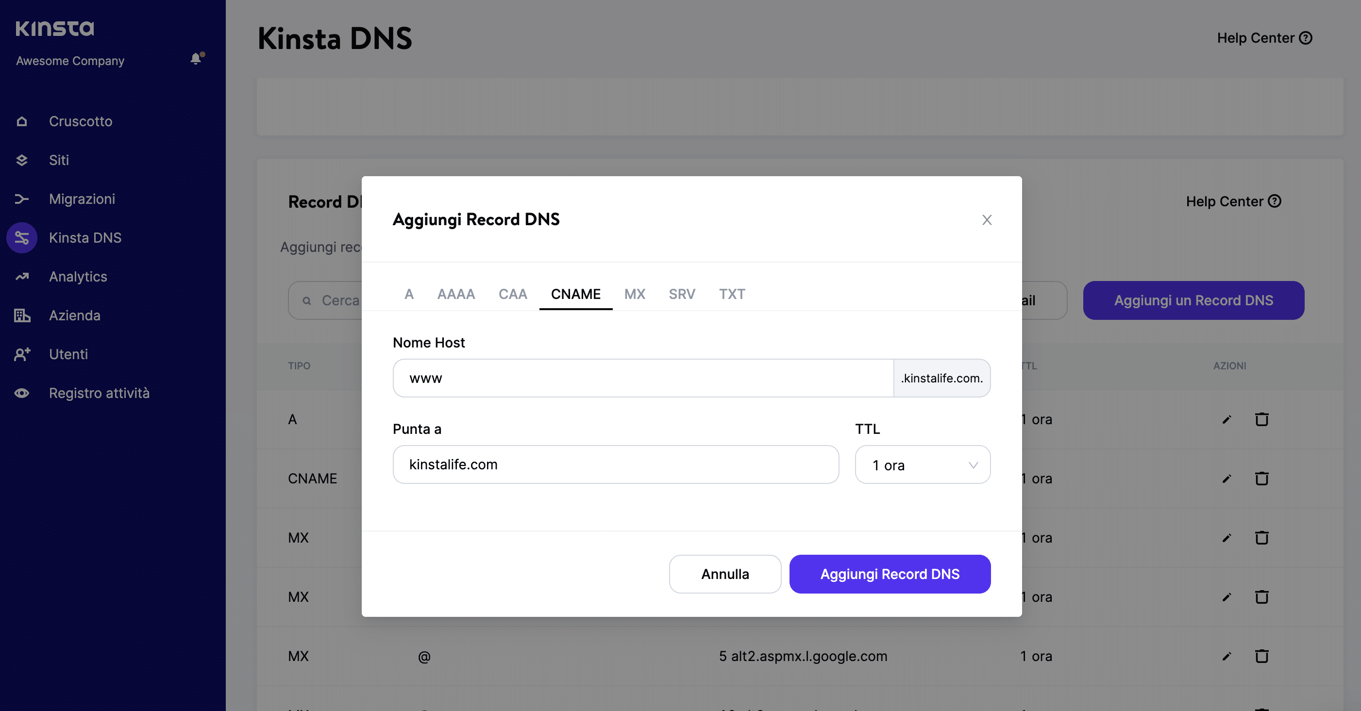 Aggiungere il record CNAME in Kinsta DNS.
