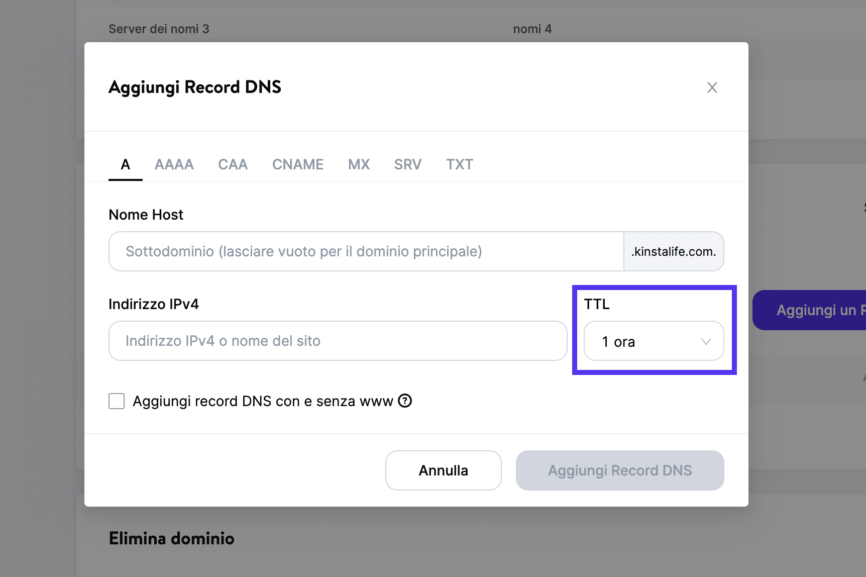 Aggiungere un record DNS > TTL in MyKinsta