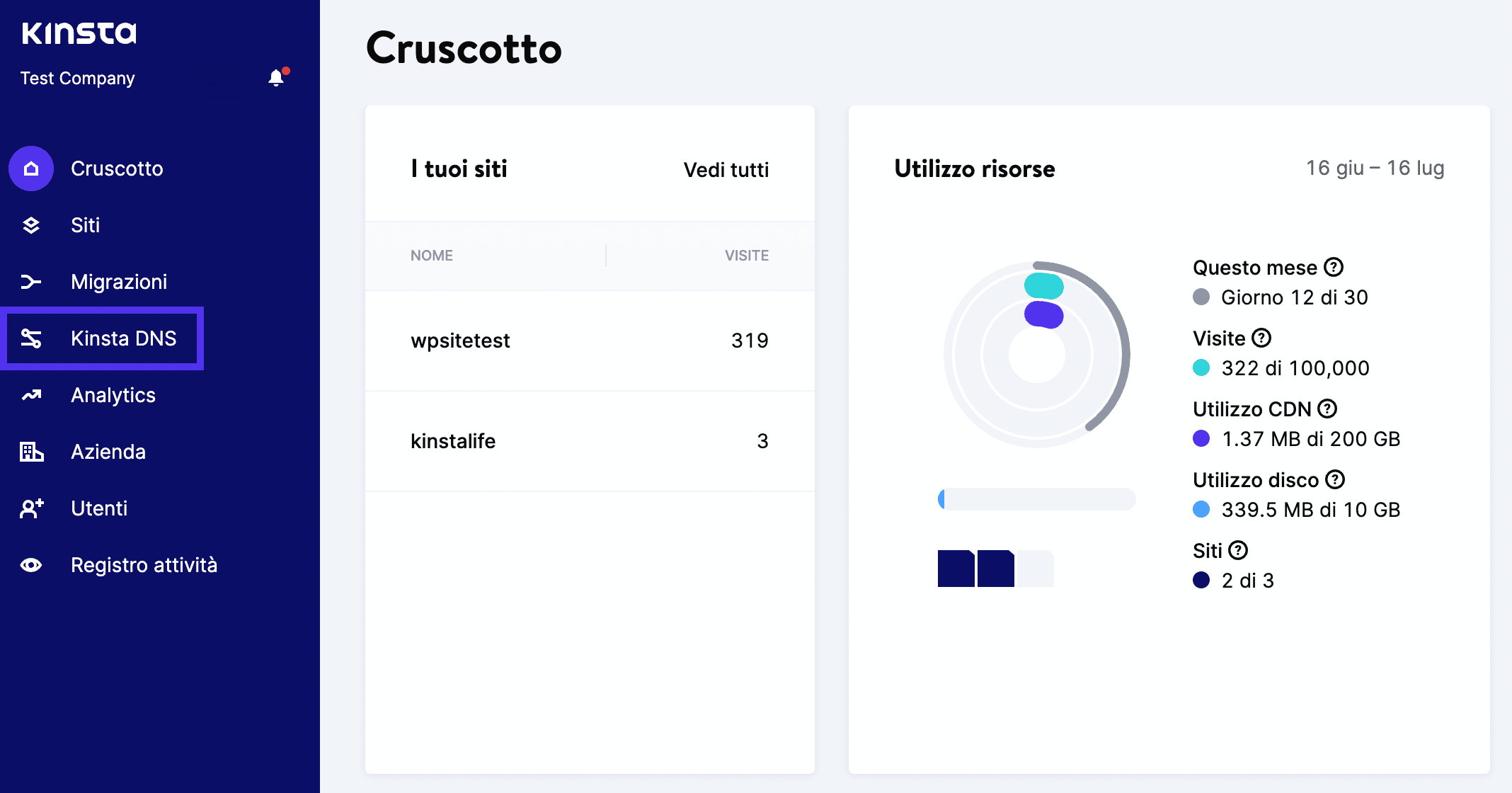 Kinsta DNS nella dashboard di MyKinsta