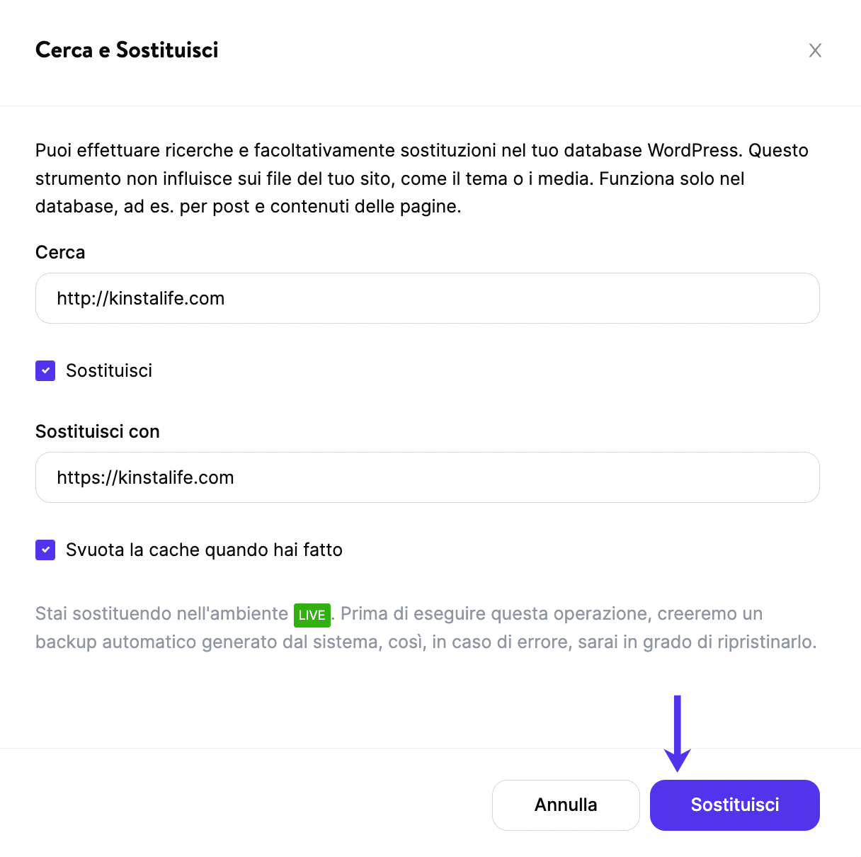 Strumento 'Cerca e sostituisci' in MyKinsta.