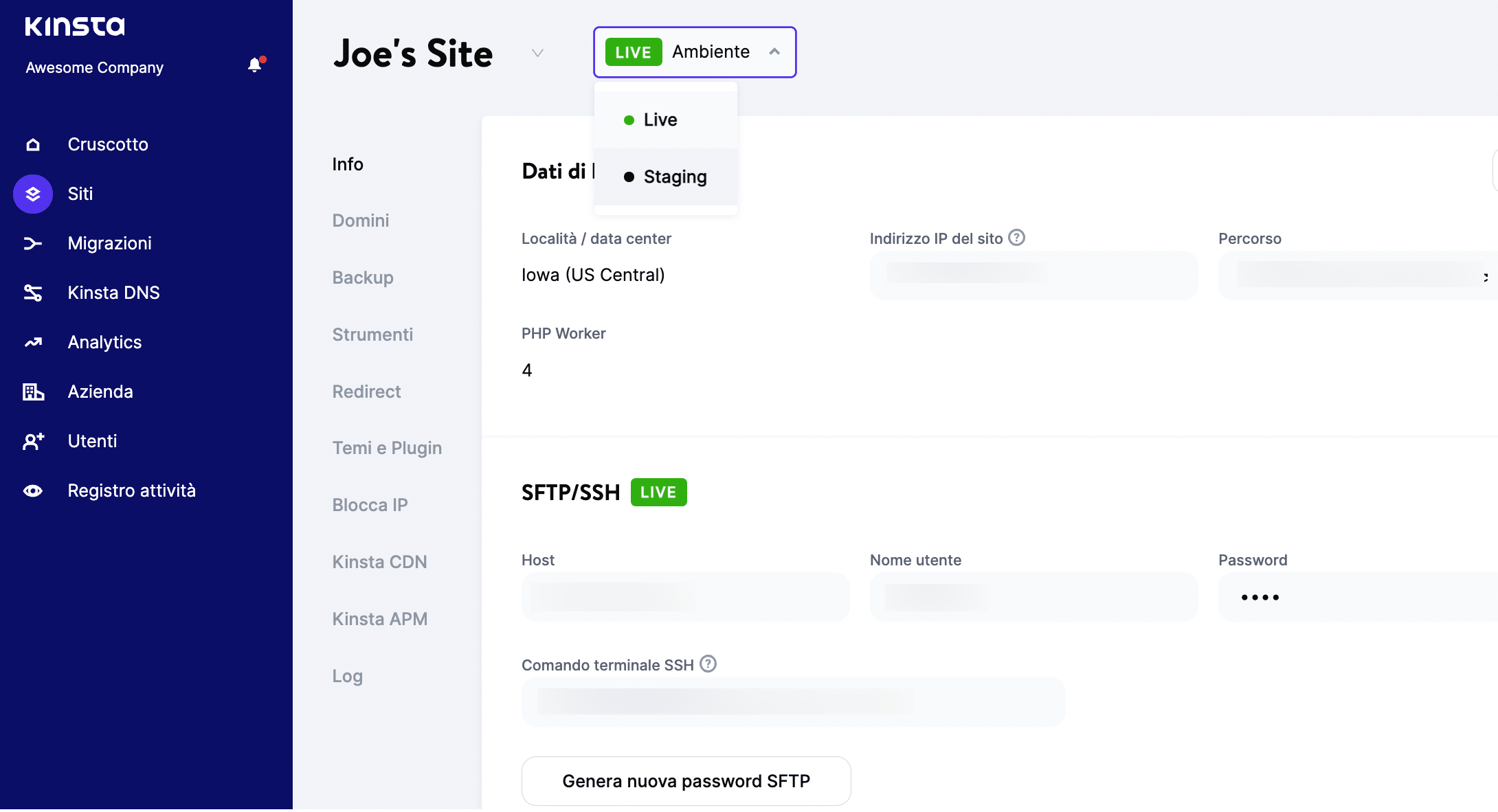 La funzione di staging di Kinsta.