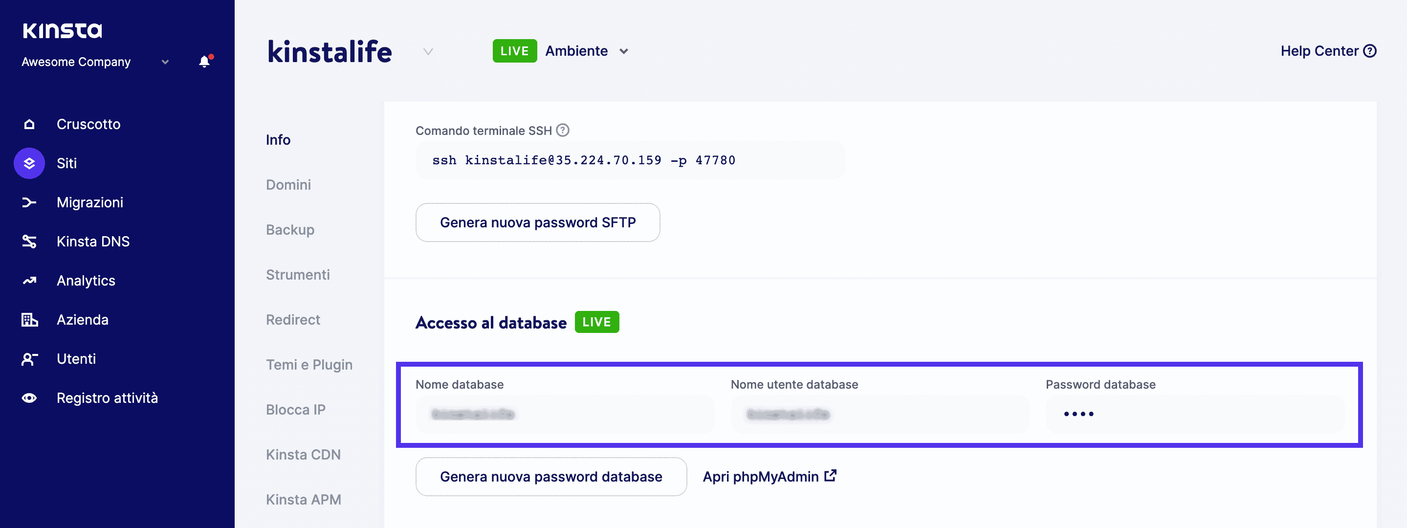 Dati di accesso al database in MyKinsta.