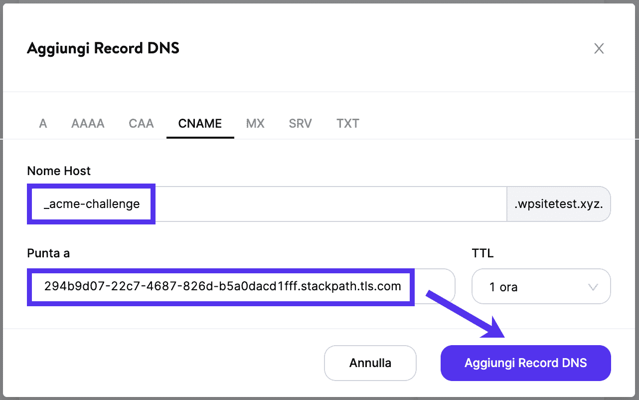 Aggiungere il CNAME di verifica del dominio in DNS di Kinsta.
