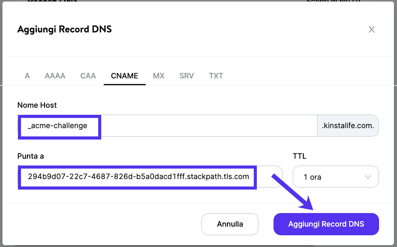 Aggiungere il CNAME di verifica del vostro dominio in DNS di Kinsta.