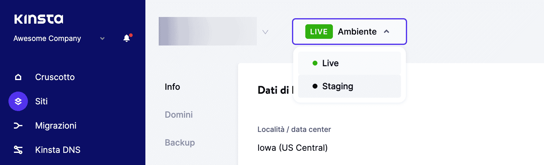 L'ambiente di staging in MyKinsta