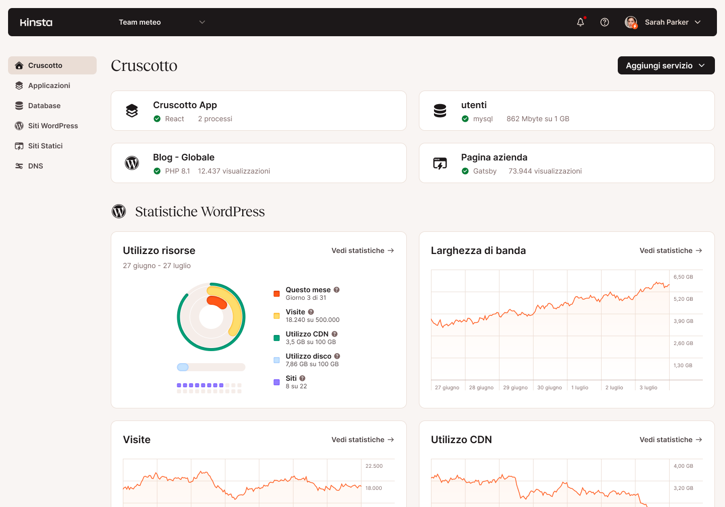 Il cruscotto dell'hosting di Kinsta