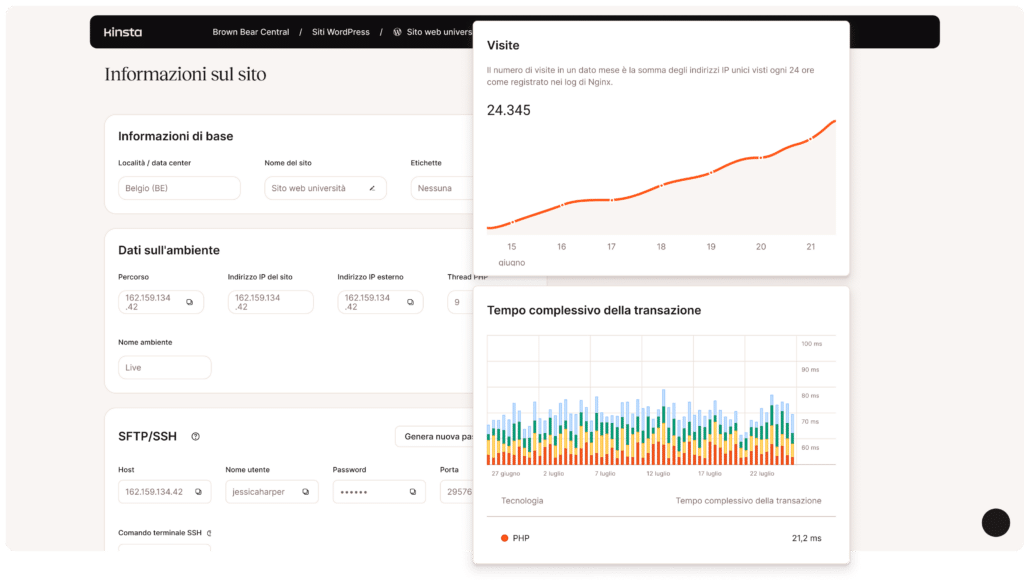 Dashboard MyKinsta