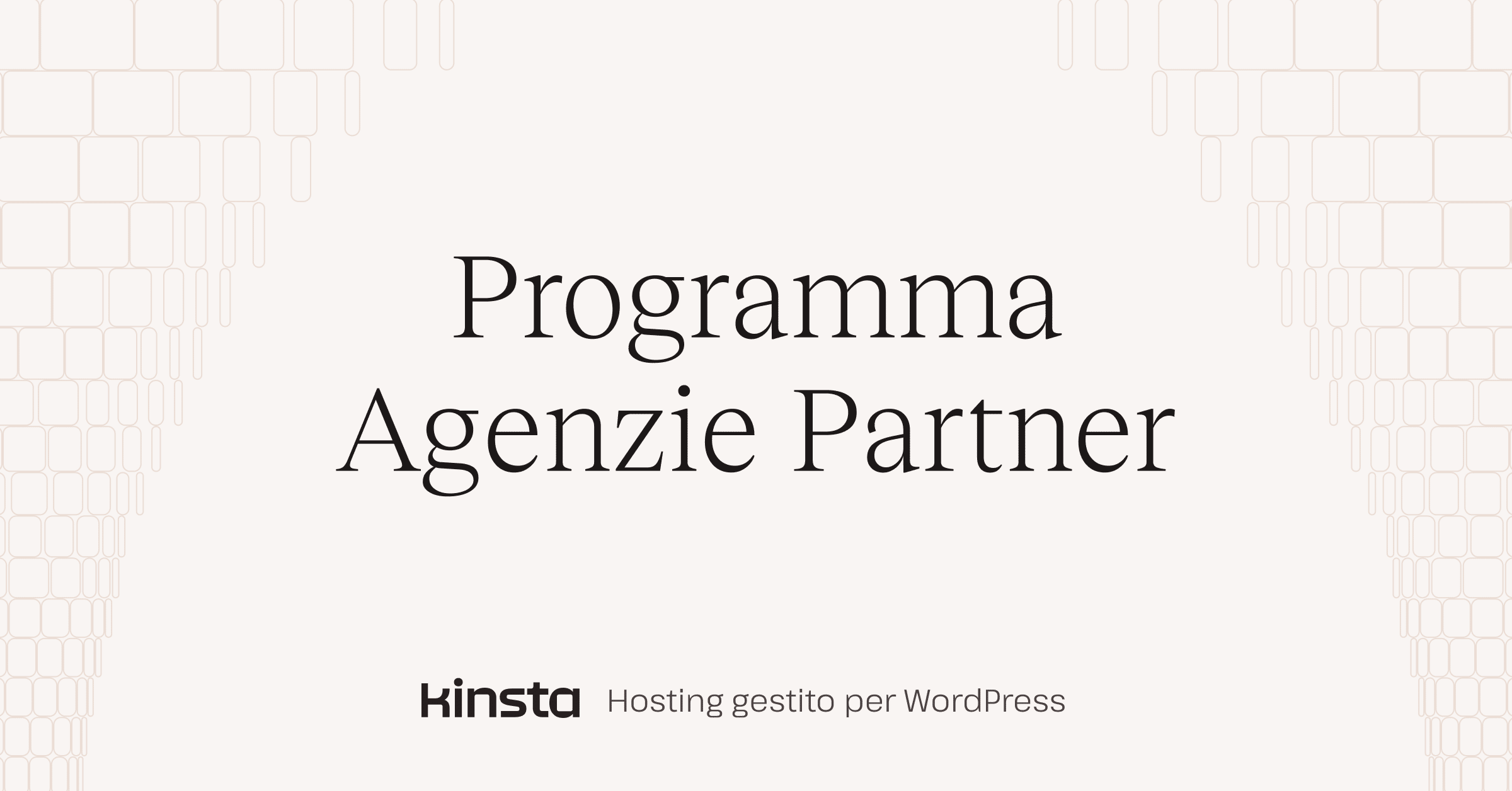 Programma Agenzie Partner - Kinsta®
