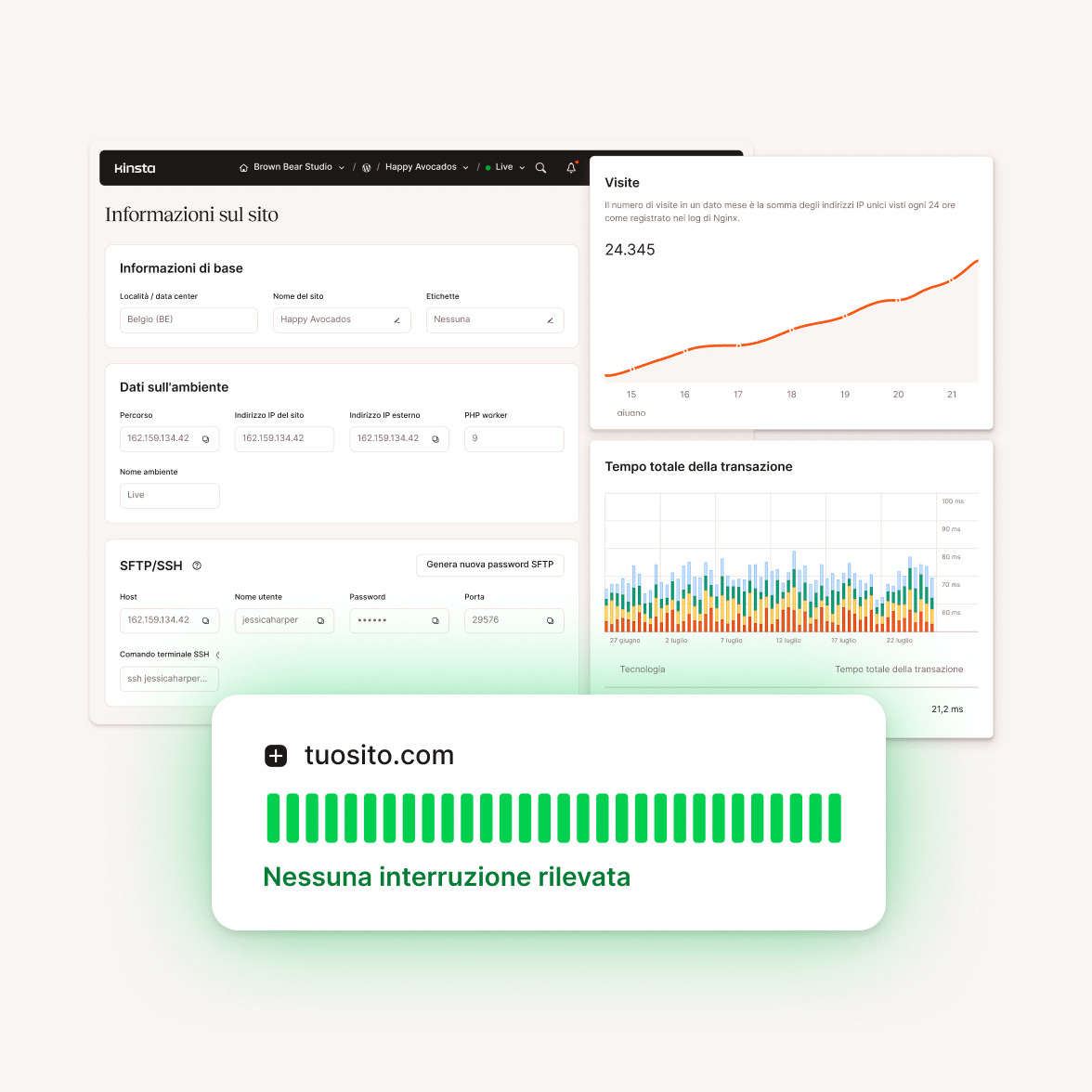 Piattaforma di hosting Kinsta