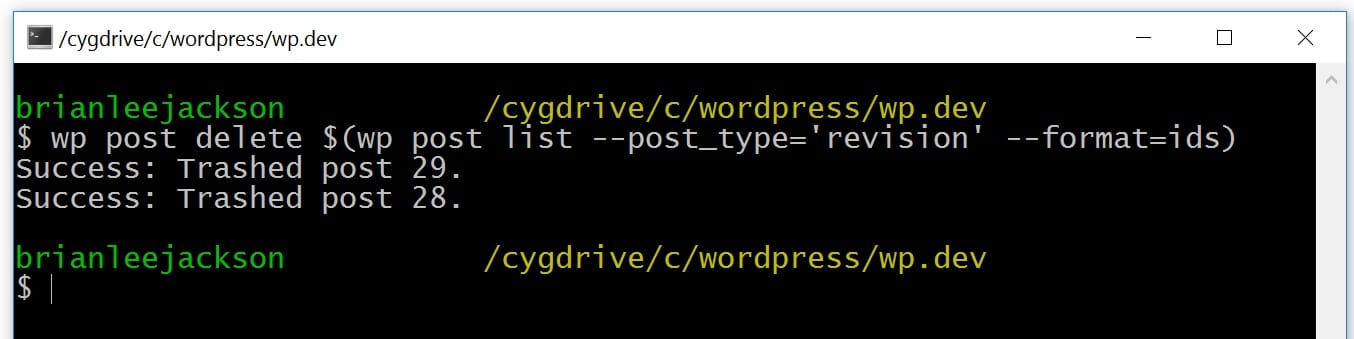 WP-CLIを使用してWordPressのリビジョンを削除する