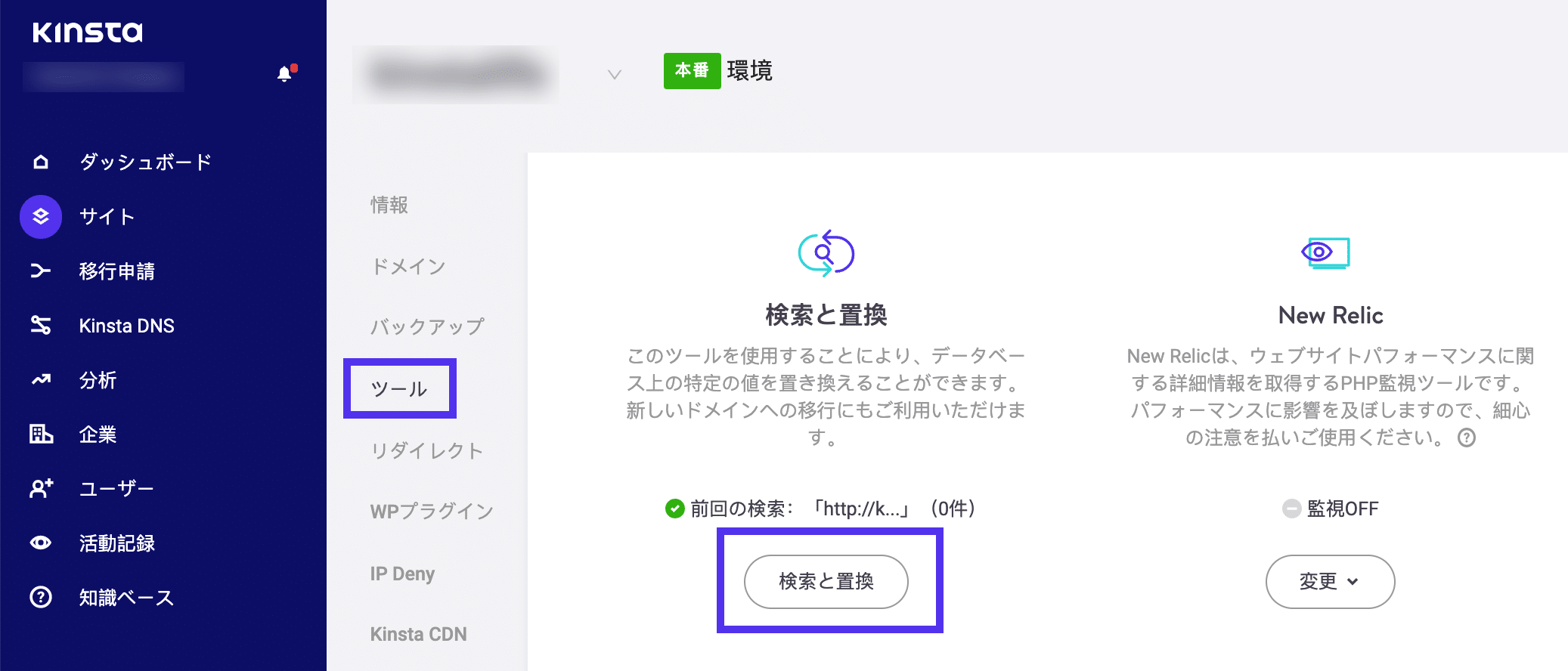 Kinstaの検索と置換ツール