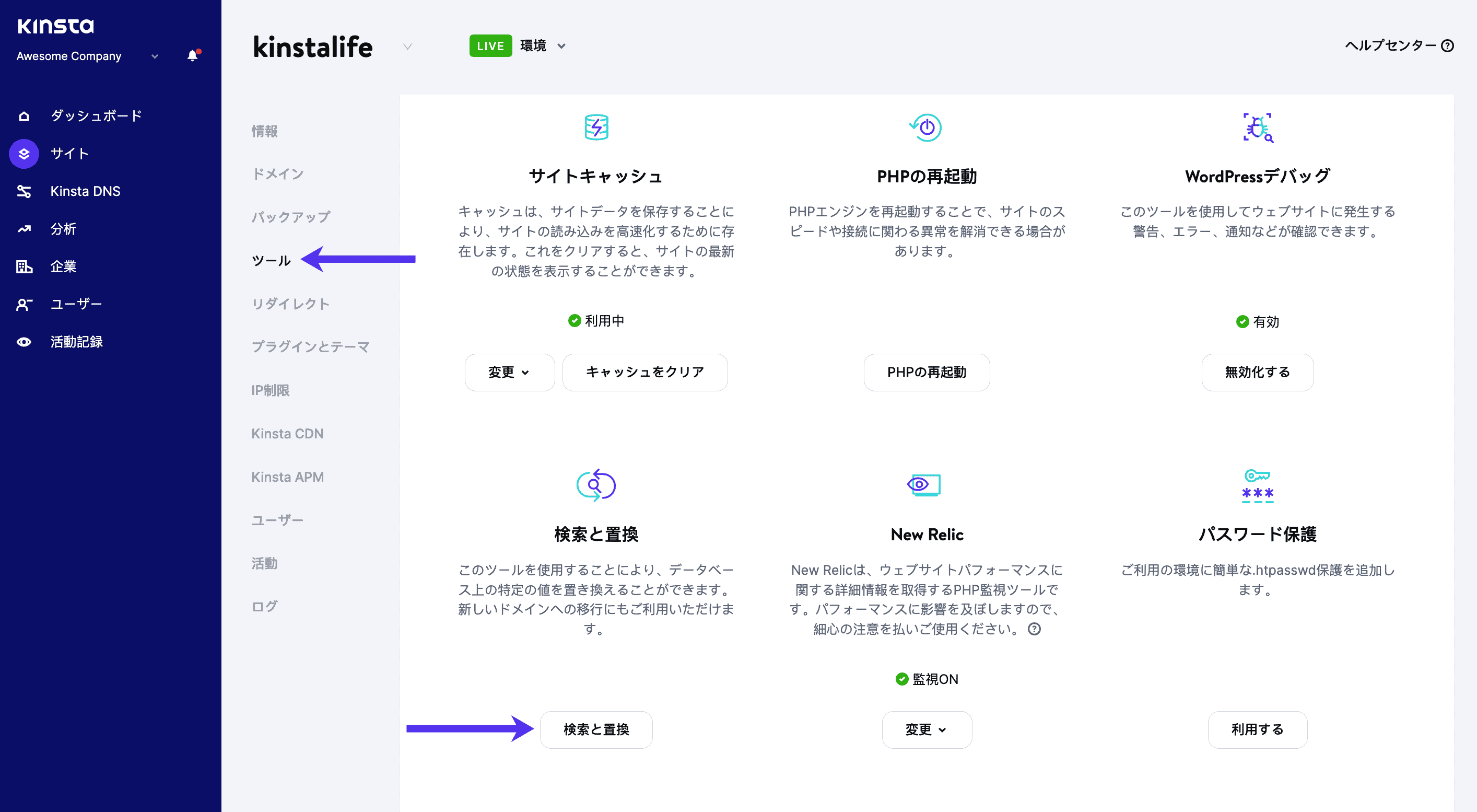 Kinstaの検索と置換ツール