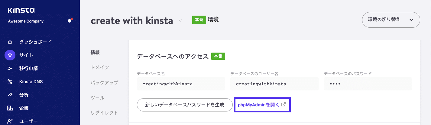 MyKinstaダッシュボードの「情報」タブ