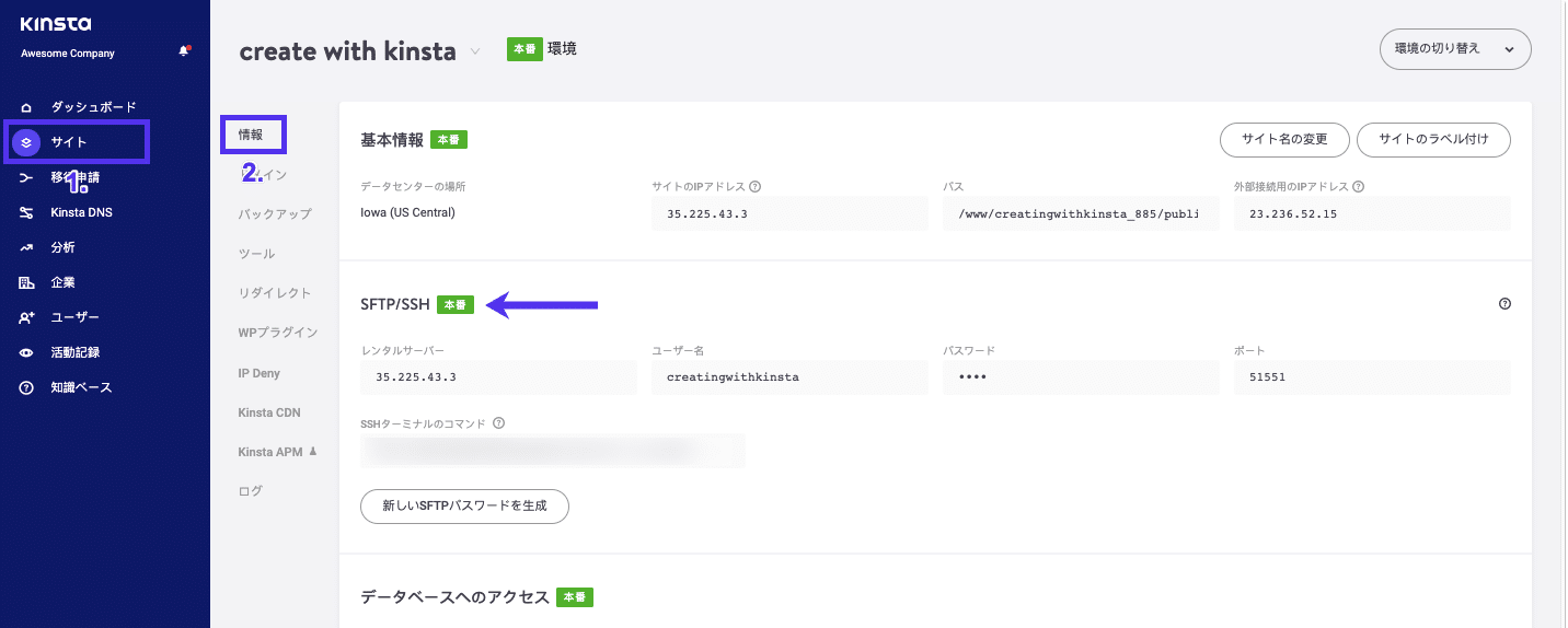 MyKinsta上のウェブサイト詳細