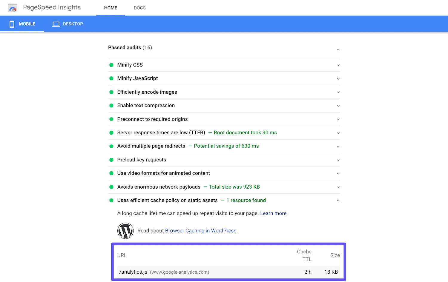 Google PageSpeed Insightsの合格した監査（Google Analyticsのスクリプトがここに表示されている）