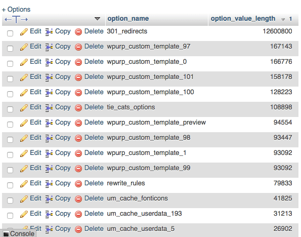 wp_optionsテーブルの上位の自動読み込みデータ