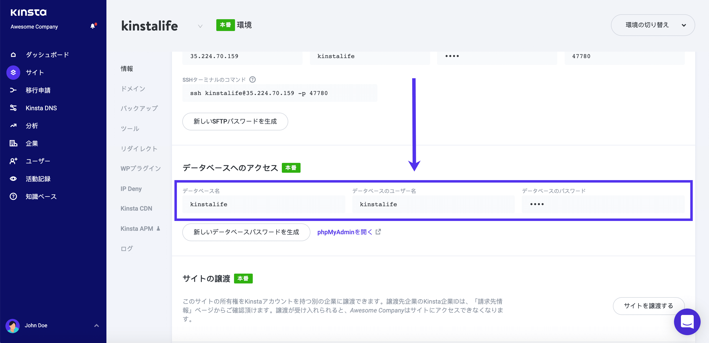 Kinstaのデータベースアクセス情報