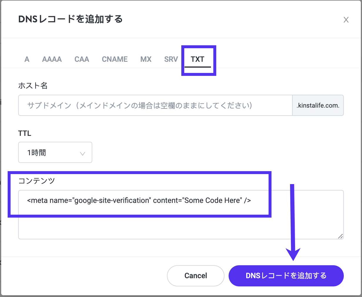 KinstaでTXTレコードを追加