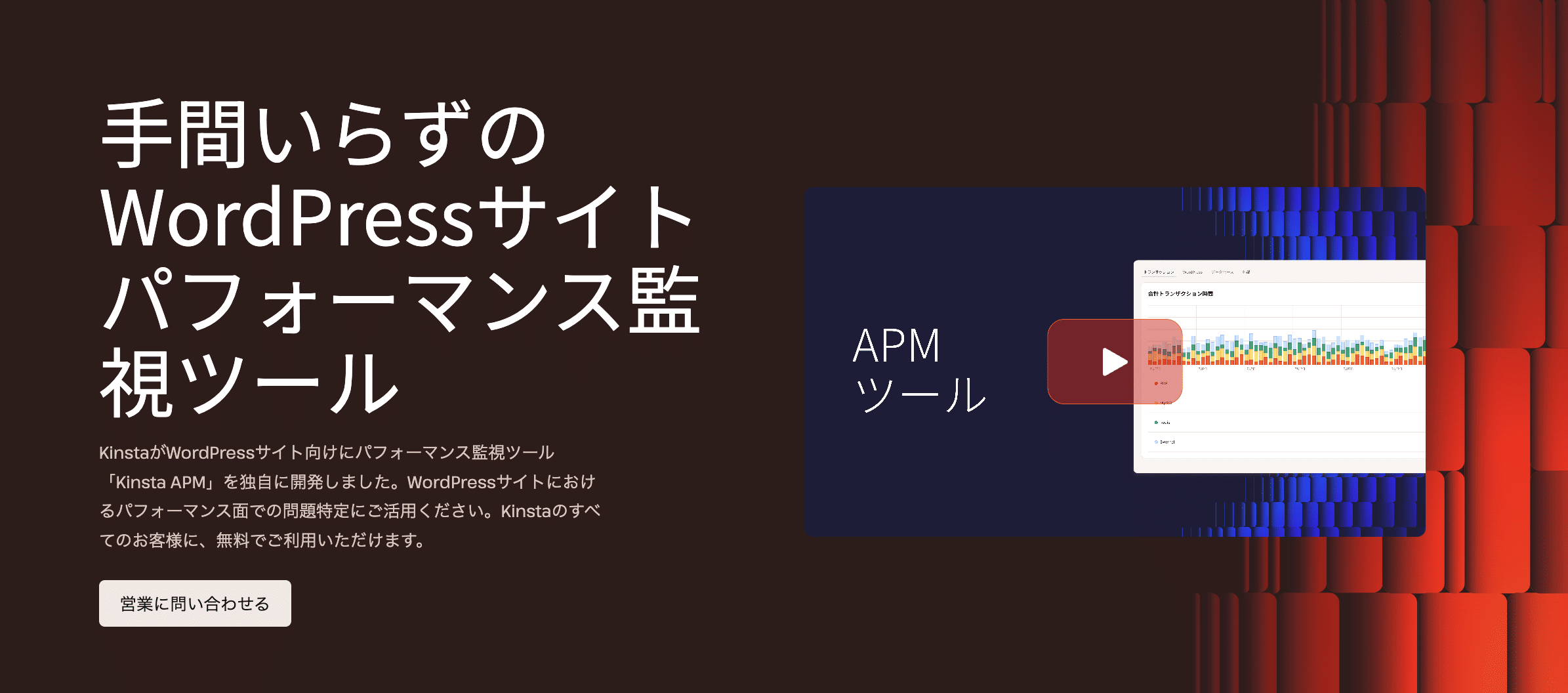KinstaのAPMツール