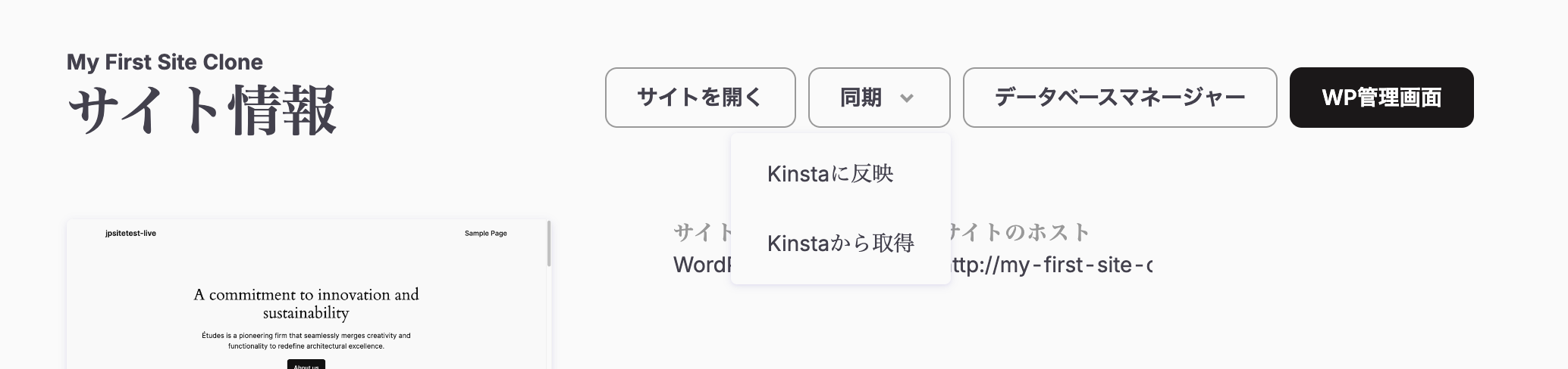 DevKinstaでKinstaに反映またはKinstaに取得