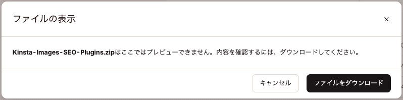 MyKinstaのファイルマネージャーでバイナリZIPファイルのダウンロードを促すメッセージ
