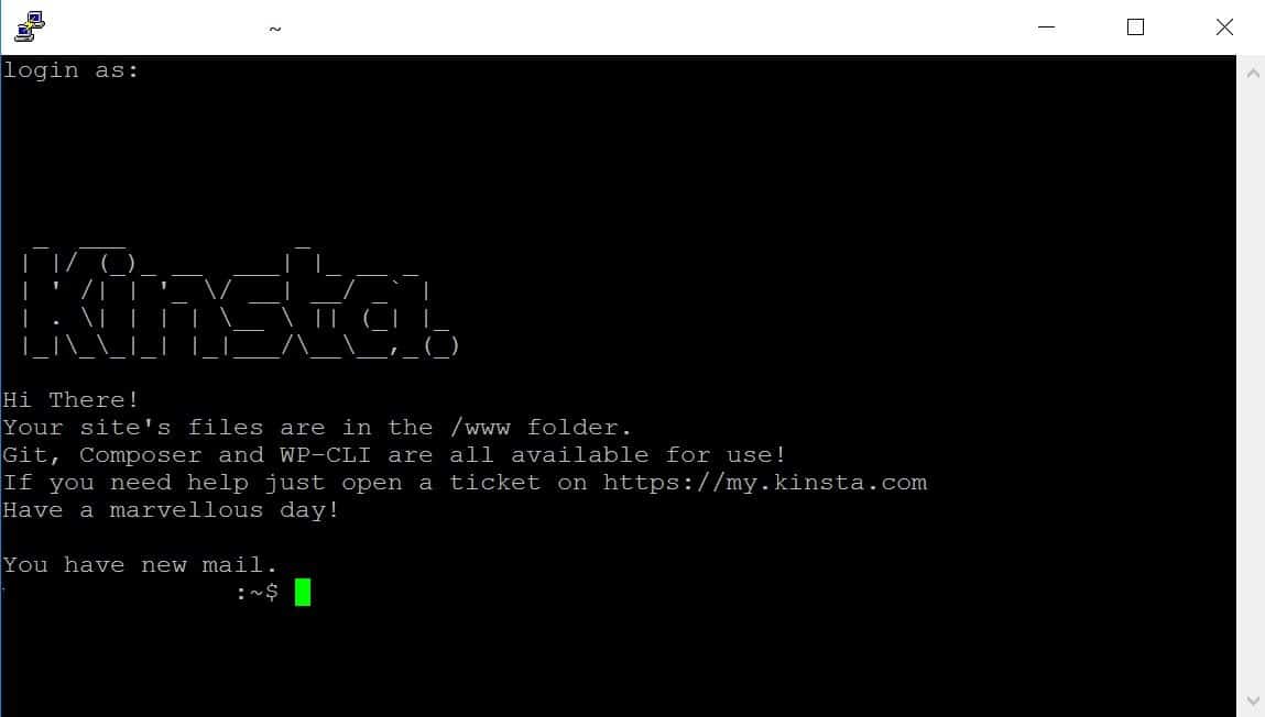Putty succesvolle login
